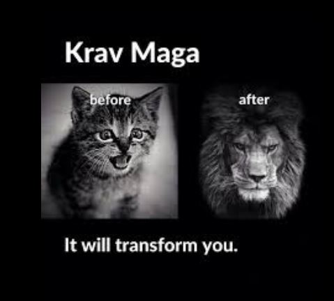 Krav Maga works